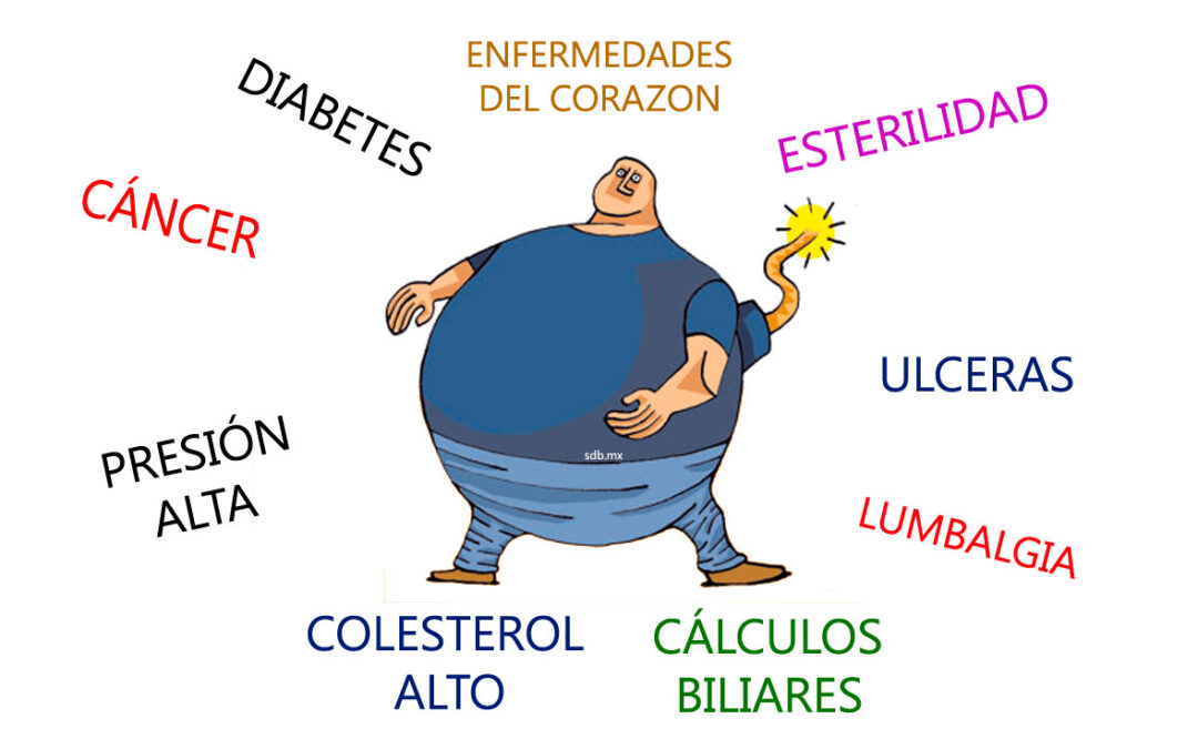 Obesidad como factor de riesgo para el desarrollo de enfermedades