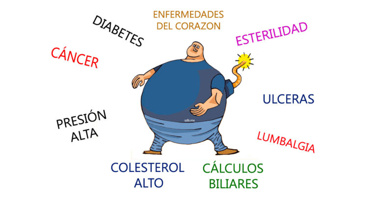 Obesidad Como Factor De Riesgo Para El Desarrollo De Enfermedades - La ...